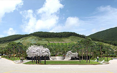 High1 Resort 경관개선 조경공사