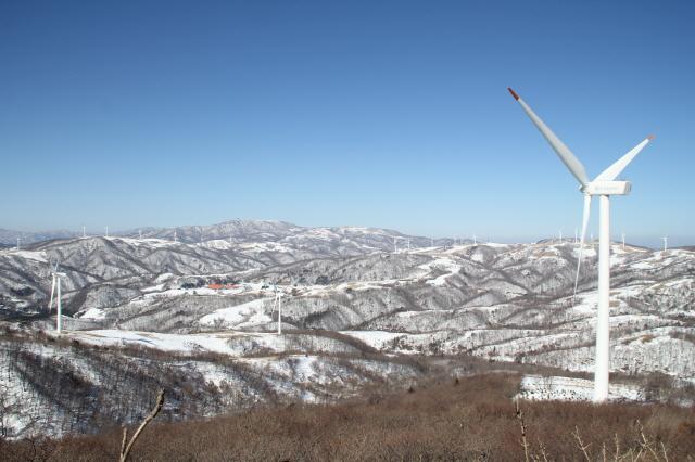 크기변환_IMG_2705.JPG